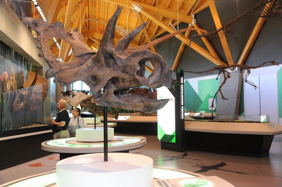 Dinosaur Museum